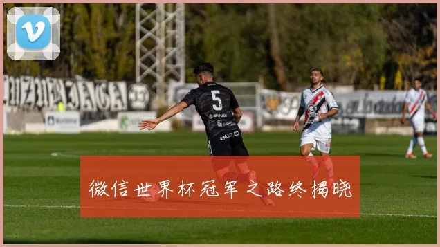 微信世界杯冠军之路终揭晓